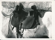 Camargue 1935 selle d'occasion  Ballon