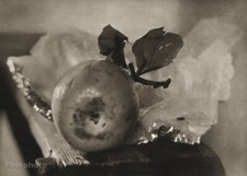 1950 josef sudek for sale  Tampa