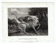 C19th antique prints for sale  NORWICH
