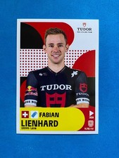 Figurine stickers panini usato  Italia
