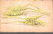 Spighe grano piccolo usato  Asti