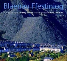 Blaenau ffestiniog gwyn for sale  UK