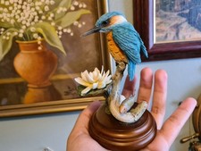 Kingfisher waterlily country for sale  LONDON