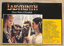 Fotobusta labyrinth dove usato  Cesena
