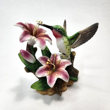 Ruby throated hummingbird for sale  Wichita