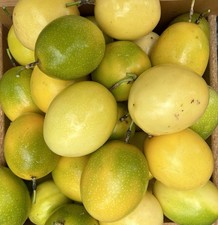 10 lagoas de maracujá fresco comprar usado  Enviando para Brazil