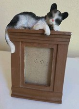 Cute kitten cat for sale  Peru