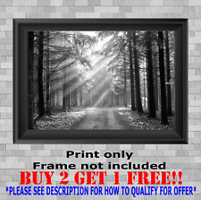 Black white forest for sale  NOTTINGHAM