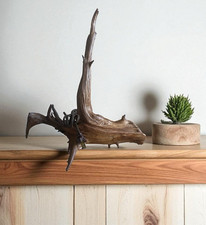 Mesa Mid Century MCM Driftwood orgânica Boho Display teca nogueira? + Lâmpada comprar usado Mesa Mid Century MCM Driftwood orgânica Boho Display teca nogueira? + Lâmpada comprar usado  Enviando para Brazil