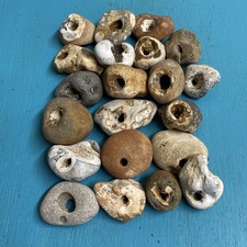 Twenty natural hag for sale  RYE