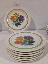 Franciscan earthenware floral for sale  Endicott
