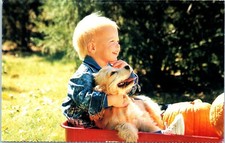 Postcard cute blonde for sale  Chandler