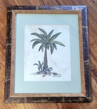 Dianne krumel monkey for sale  Pueblo