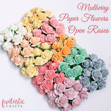 Mulberry paper open for sale  GLASGOW