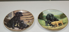 Labrador plate collectors for sale  WISBECH