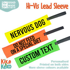 Nervous dog lead for sale  GALSTON