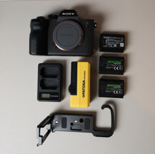 Sony alpha vollformatkamera gebraucht kaufen  Dalheim, Mommenheim, Undenheim