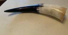 Viking horn drinking for sale  BRENTWOOD