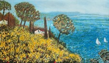 Ginestre riva mare usato  Taranto
