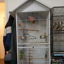 Large bird cage for sale  SEVENOAKS