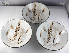 Midwinter stonehenge wild for sale  HAVERHILL