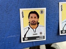 Panini calciatori 2006 usato  Canelli