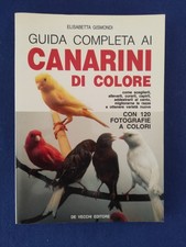 canarini colore usato canarini colore usato Solesino