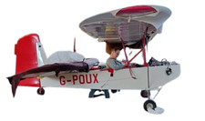 Flying flea complete for sale  AYLESFORD