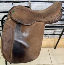 Xxw silhouette pony for sale  LLANGOLLEN