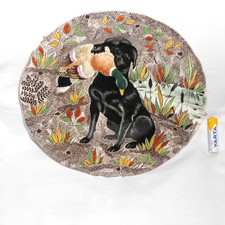 Labrador canard colvert d'occasion  Chantilly