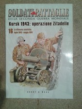 Libro kursk soldati usato  Torgiano