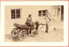 Cocher voiture cheval d'occasion  Pagny-sur-Moselle