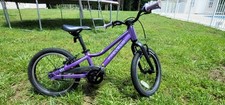 Prevelo alphatwo girls for sale  Winston Salem