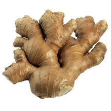 Fresh organic ginger for sale  WAKEFIELD