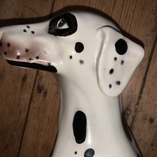Black eyed dalmatian for sale  SOUTHAMPTON