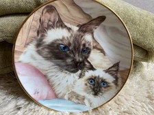 Mother love. seal for sale  GODALMING