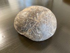 Dinosaur egg fossil for sale  Ironton
