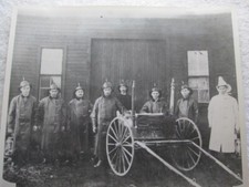Fire department horse for sale  Dearborn