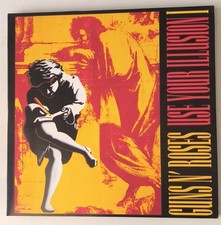 Guns roses use usato  Milano