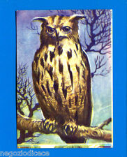 Animali lampo 1964 usato  Maranello