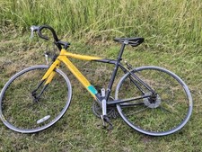 Carrera tdf ltd for sale  EXETER