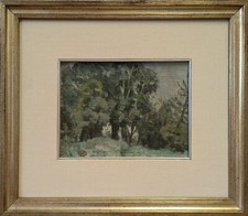 Dandolo giovanni paesaggio usato  Italia