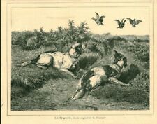 Gravure ancienne 1885 d'occasion  France