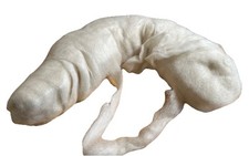 Alpaca roving white for sale  Apache Junction