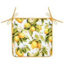 Galette chaise citrons d'occasion  Gordes