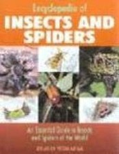 Encyclopedia insects spiders for sale  ROSSENDALE