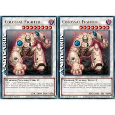 Colossal fighter rara usato  Ravenna