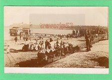 Beach donkeys ice for sale  DORCHESTER