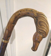 Horse head hazel for sale  HEBBURN