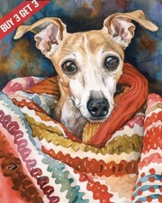 Italian greyhound dog for sale  New York
